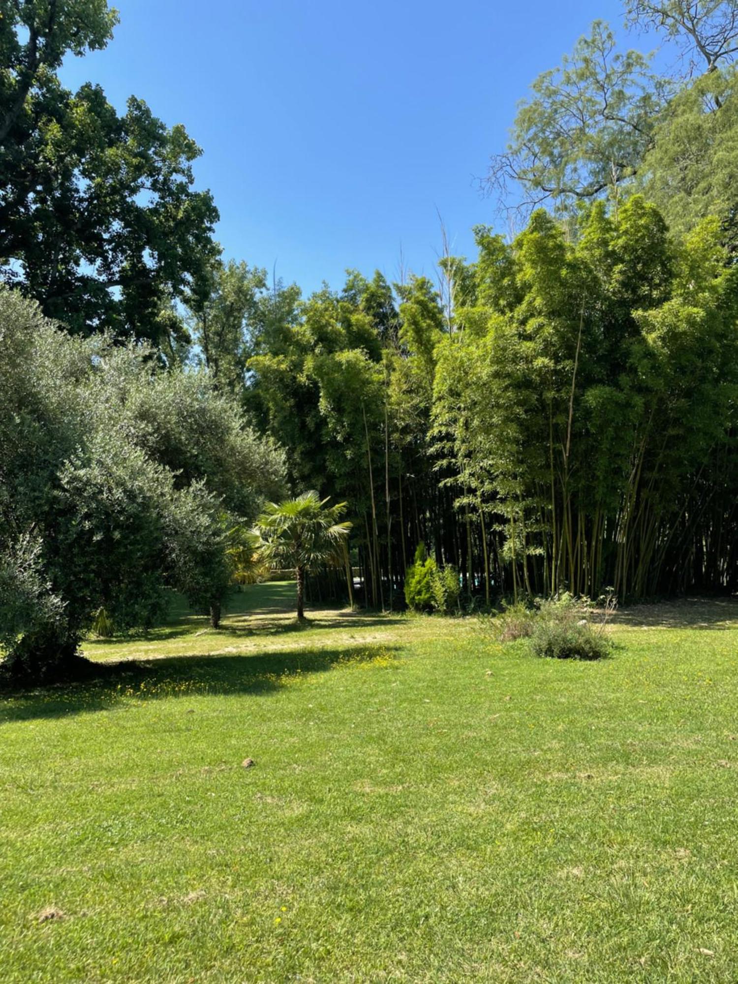 La Rebiere D'Or, B&B Et Gite Mouleydier Exterior foto